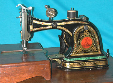 Starley European head.